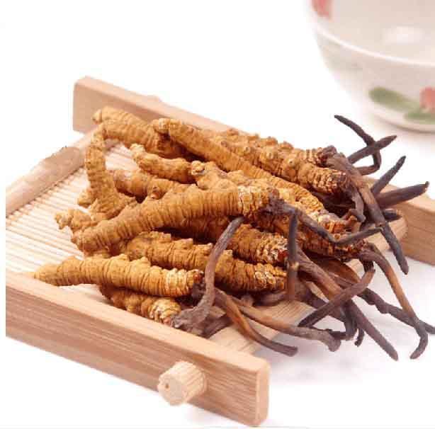 回收冬虫夏草